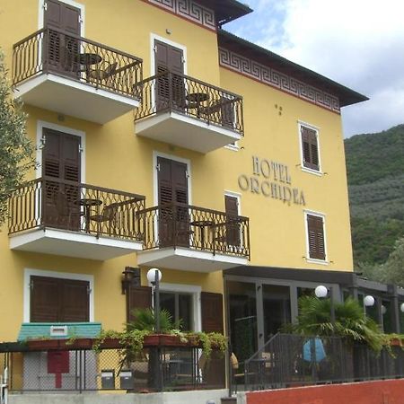 Albergo Garni Orchidea ริวาเดลการ์ดา ภายนอก รูปภาพ